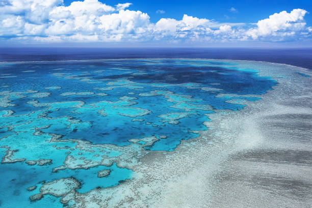 Great Barrier Reef Aerial Stock Photos, Pictures & Royalty-Free Images - iStock Great Barrier Reef Aerial Stock Photos, Pictures & Royalty-Free Images - iStock