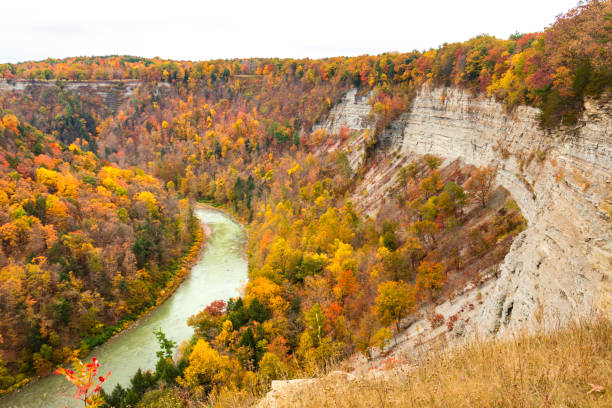 istock Fall foliage, Autumn Leaves, Fall At Letchworth State Park 1328419788