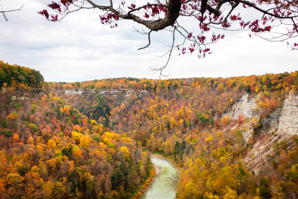 istock Fall foliage, Autumn Leaves, Fall At Letchworth State Park 1328419846