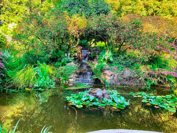 istock Waterfall and Lily Pads - Beaverton, Oregon 1328419885