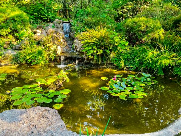 istock Waterfall and Lily Pads - Beaverton, Oregon 1328419891