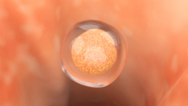 istock Detailed Image of Stem Cell 1328420926