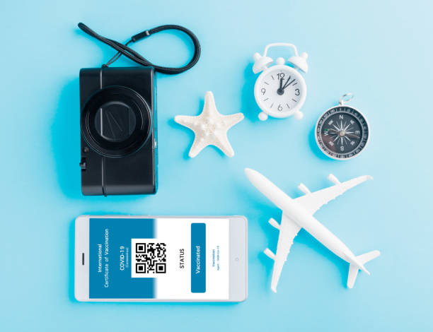 istock Model airplane, camera and immunity pass are arranged application on smartphone 1328422623