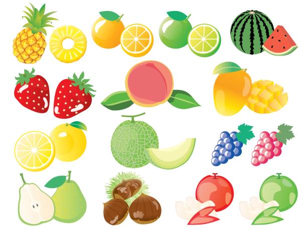 illustrazioni stock, clip art, cartoni animati e icone di tendenza di illustrazione dei frutti di anguria, fragola e melone - chestnut sweet food yellow group of objects