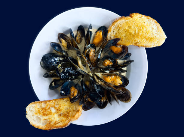 Mussels in white wine sauce stock photo