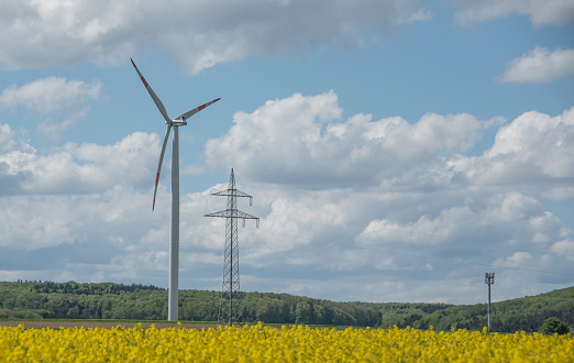 a rural landscape with a flowering rapeseed field and a wind mill and lattice tower of a power line