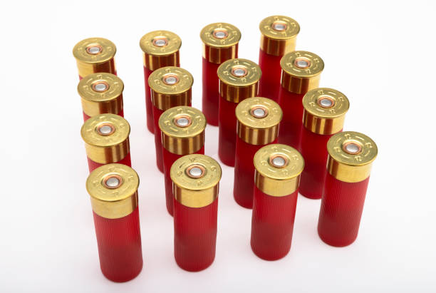 istock 12-gauge shotgun bullet shells on white background 1328445734