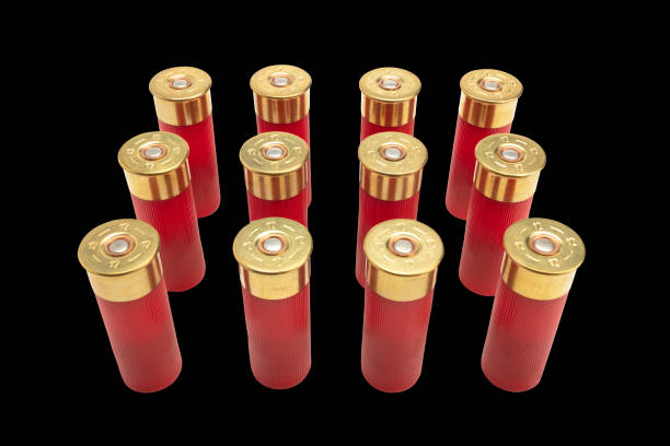 istock 12-gauge shotgun bullet shells on black background 1328445789