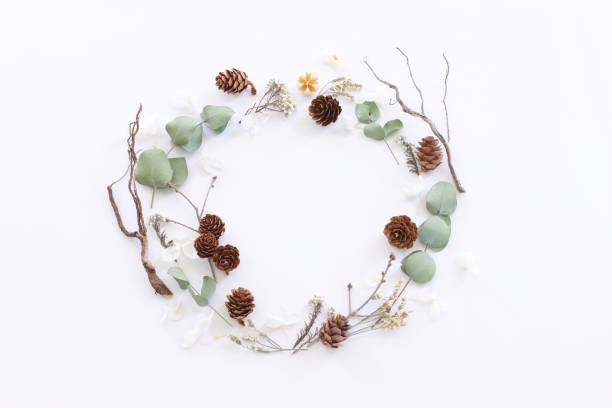 Top view image of flowers composition on white background .Flat lay