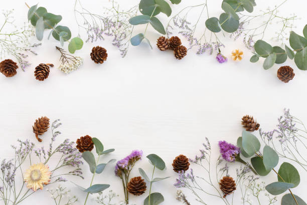 istock Top view image of flowers composition on white background .Flat lay 1328446698