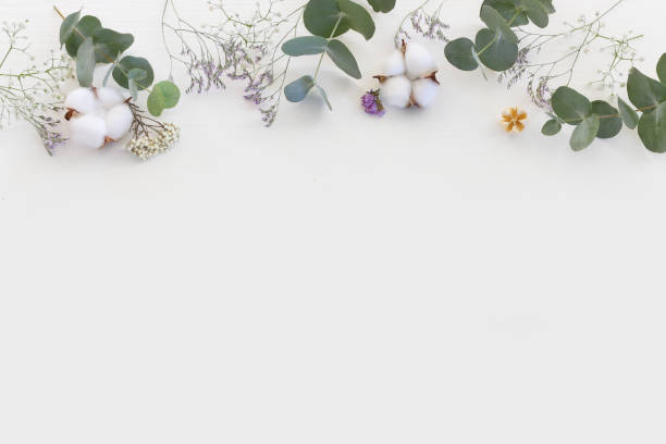 istock Top view image of flowers composition on white background .Flat lay 1328446709