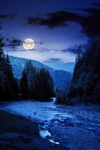 Photo of mountain river runs through forested valley