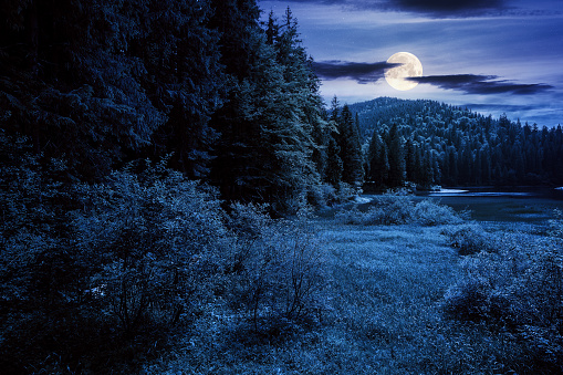 lake of synevyr national park at night. beautiful summer scenery of carpathian mountains in full moon light. popular travel destinations of ukraine. mysterious environment among coniferous forest