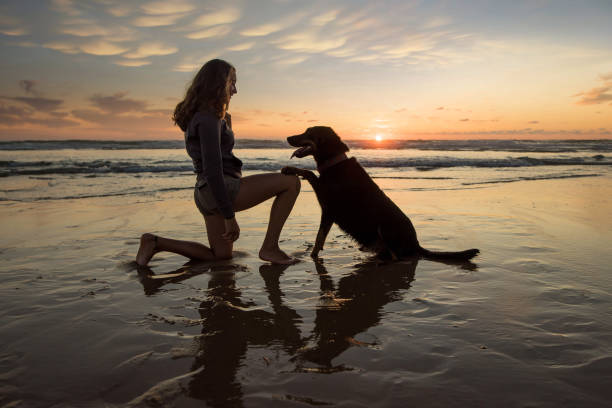 young woman and her dog with beautiful sunset over the ocean