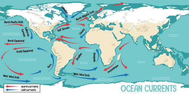 ilustraciones, imágenes clip art, dibujos animados e iconos de stock de corrientes oceánicas en el fondo del mapa mundial - tide