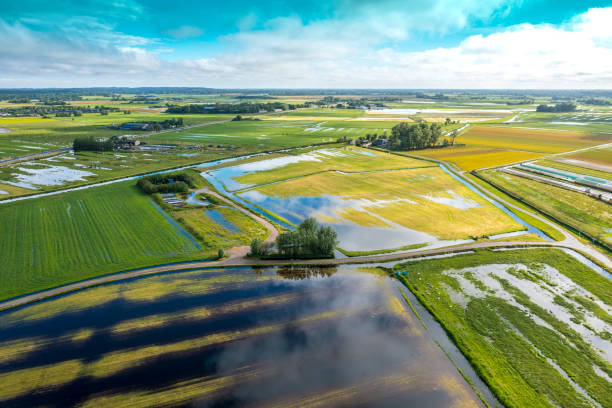 Aerial footage of wetlands  in the Netherlands stock photo
