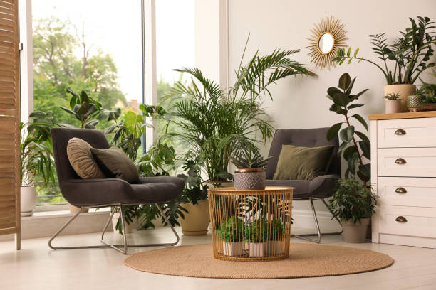 istock Lounge area interior with comfortable armchairs and houseplants 1328455644