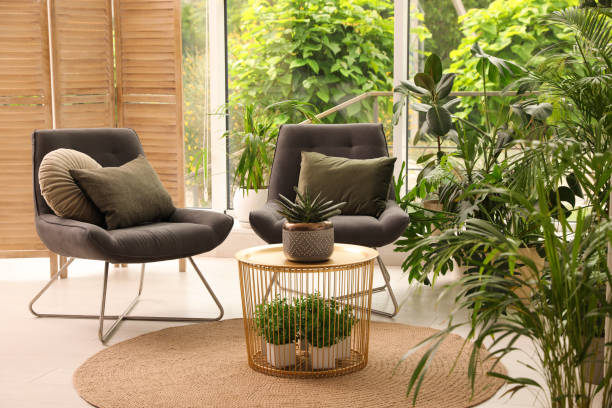 istock Lounge area interior with comfortable armchairs and houseplants 1328455698