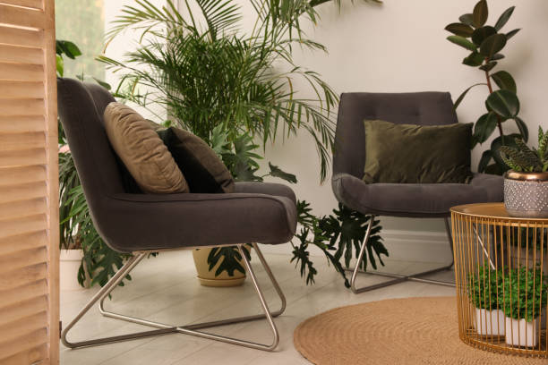 istock Lounge area interior with comfortable armchairs and houseplants 1328455737
