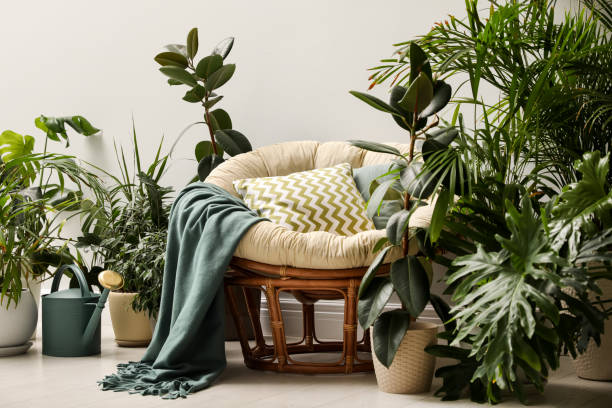 sala de estar interior con cómoda silla papasana y plantas de interior - planta de interior fotografías e imágenes de stock