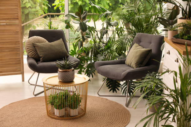 istock Lounge area interior with comfortable armchairs and houseplants 1328456106