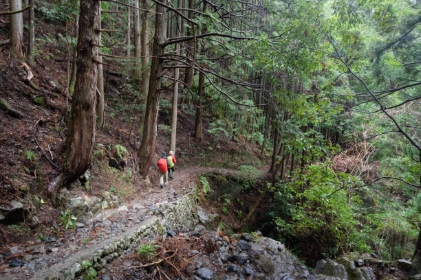 due persone con zaini dai colori vivaci che si escursionisticano sul sentiero kumano kodo. kumano kodo è una serie di antiche vie di pellegrinaggio che attraversano il kii hanto, la più grande penisola del giappone - kii foto e immagini stock