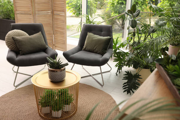 istock Lounge area interior with comfortable armchairs and houseplants 1328457263