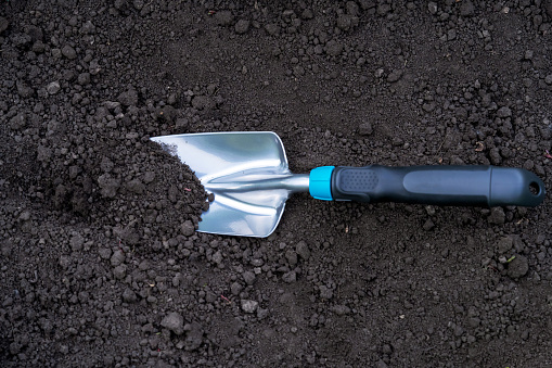 Planting season, small metal garden shovel lies against the background of black earth, loosened ground.