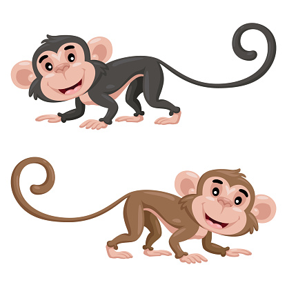 Illustration of cute two cartoon monkeys isolated on white background.
