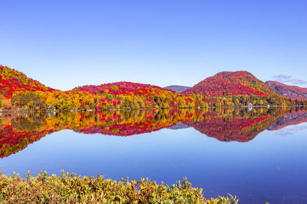 istock Lac Superieur, Mont tremblant, Quebec, Canada 1328458755