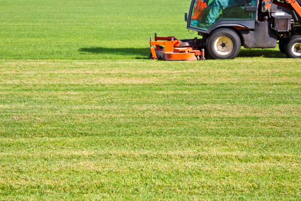 istock Ride on lawn mower cutting fresh grass - Image with copy space 1328467711