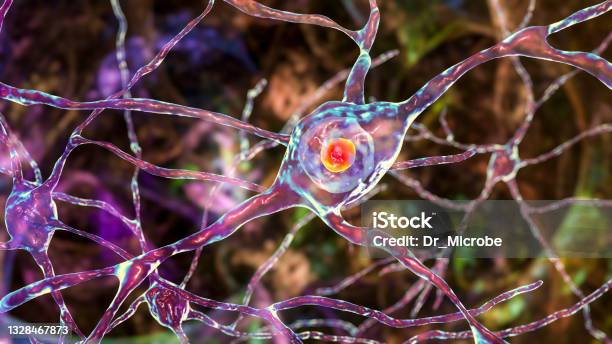 Neuronal Intranuclear Inclusions 3d Illustration Stock Photo - Download Image Now - Gene Therapy, Brain, Domination