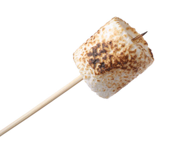 stick with roasted marshmallow isolated on white - treated wood imagens e fotografias de stock