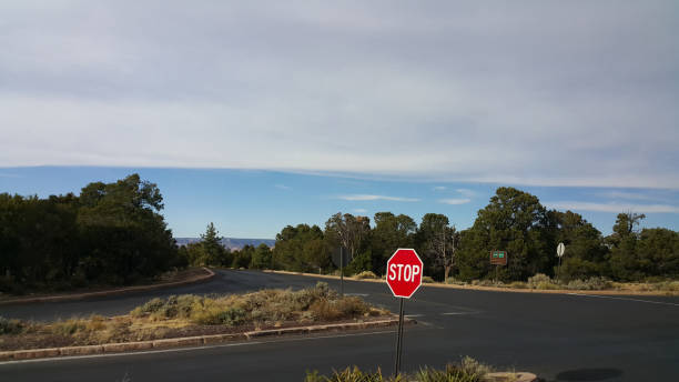 istock traffic sign on the road and nature 1328473089