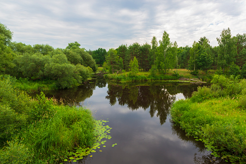 Tranquil countryside landscape. Calm river and the deep forest.