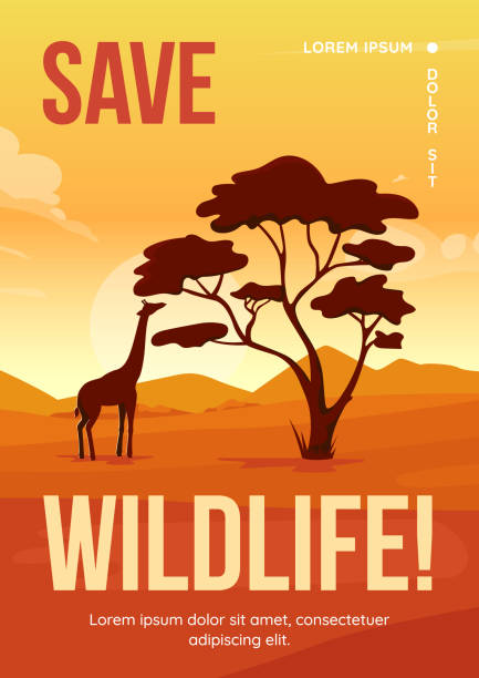 speichern sie wildtier poster flache vektorvorlage - safari animals safari giraffe animals in the wild stock-grafiken, -clipart, -cartoons und -symbole