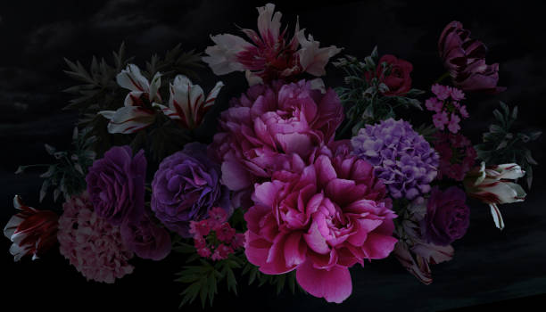 豪華なバロックのブーケ。黒い背景に美しい庭の花や葉。ピンクの牡丹、バラ、チューリップ、アジサイ。豪華なデザイン。ヴィンテージイラスト。花の結婚式の装飾。 - バロック様式 写真 ストックフォトと画像