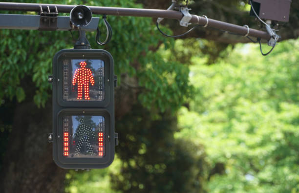 istock Signal for pedestrian 1328485402