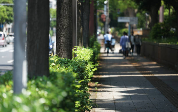 istock Streets of the city 1328485415