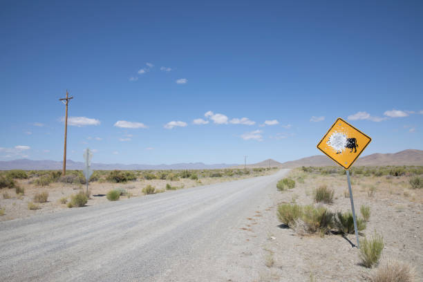 istock Black Rock Desert High Rock Canyon USA 1328487109