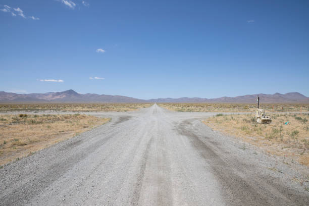 Shot of the Mojave National Preserve in California. The preserve was established to protect nature and local animal species.