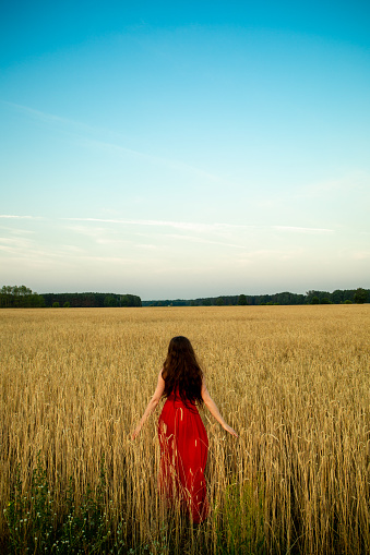 Girl in a red dress takes a stroll on a yellow corn field with blue sky.