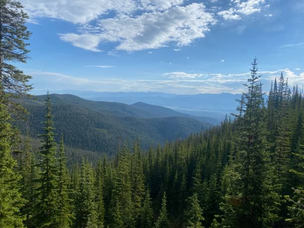 istock The Rocky Moyntains 1328490457