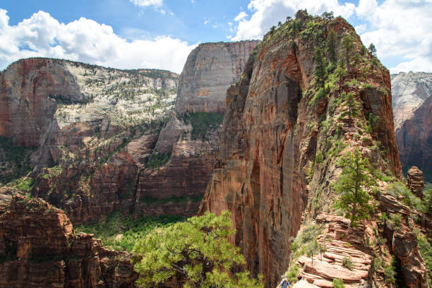 istock Angel's Landing Zion National Park 1328490546