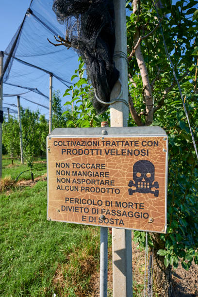 istock pesticides 1328491154
