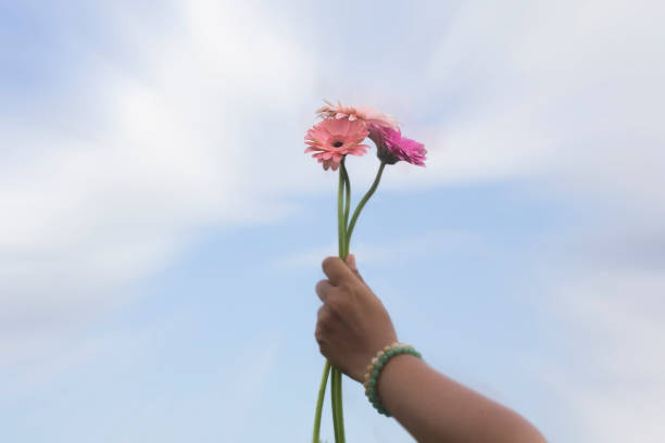 柔らかいぼやけた動きの青空の背景に手に花。 - single flower flower red daisy ストックフォトと画像