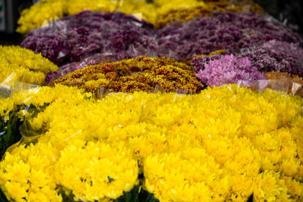 istock Different kind of flowers lined in storage 1328494350
