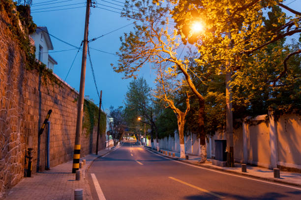 city road under the dim street lamp among the branches at dusk - tranquil scene sky street road imagens e fotografias de stock