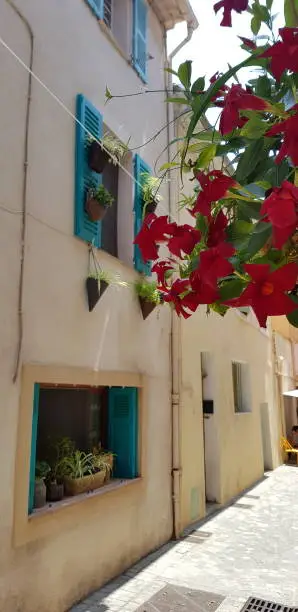 Lovingly decorated Mediterranean house façade with turquoise shutters, red dipladenia in the foreground
