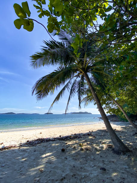 istock Klong Prao Beach in koh Chang, Trat, Thailand 1328499187